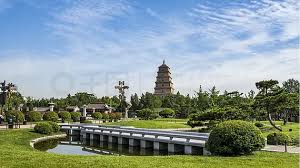 世界杯官网 桦甸绿化树苗批发市场海棠