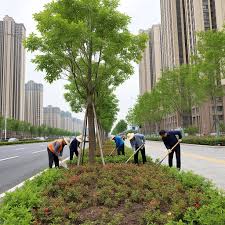 2026世界杯官网 台州厂区绿化工程公司招聘